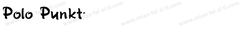 Polo Punkt字体转换